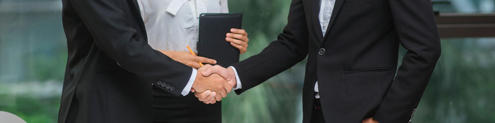 通訳/翻訳(日本語→英語)